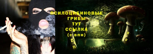 mix Абаза