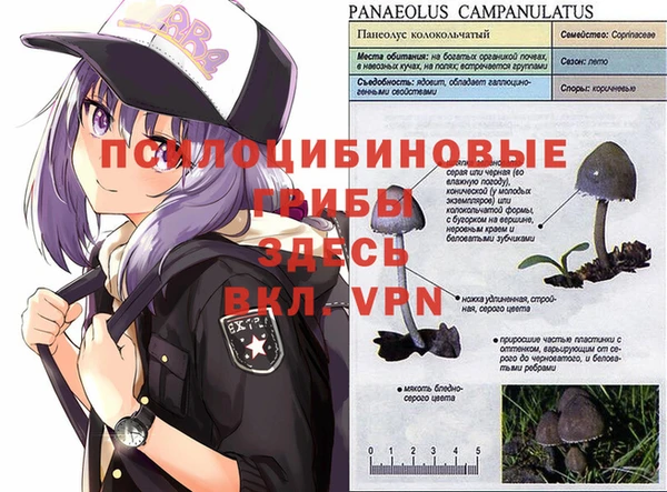 метамфетамин Абинск