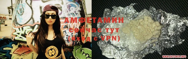 молекула духа Алексин